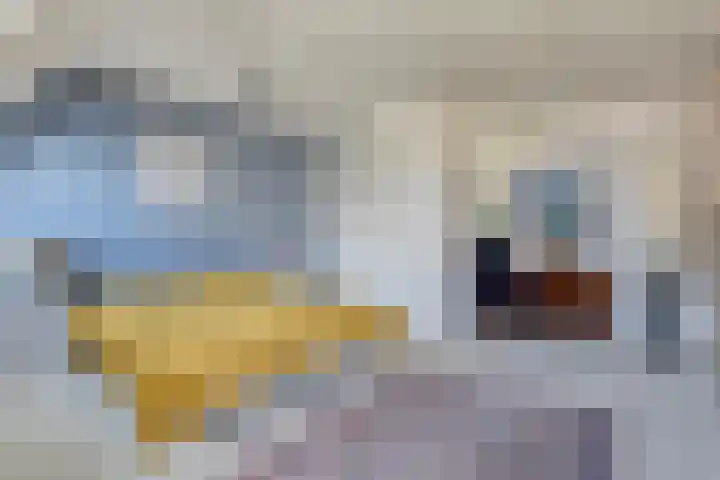 Bernard van Beeklaan 149 Kortenhoef thumbnail 12