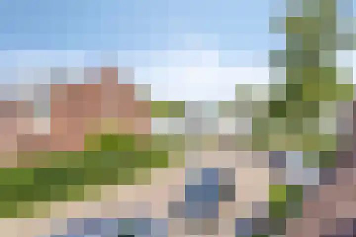 Bernard van Beeklaan 149 Kortenhoef thumbnail 14