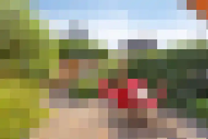Bernard van Beeklaan 149 Kortenhoef thumbnail 22