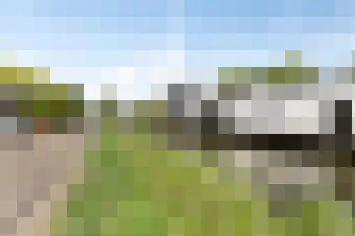 Bernard van Beeklaan 149 Kortenhoef thumbnail 31