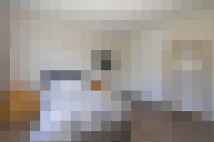 Bernard van Beeklaan 6 Kortenhoef thumbnail 15