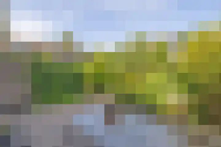 Bernard van Beeklaan 6 Kortenhoef thumbnail 25