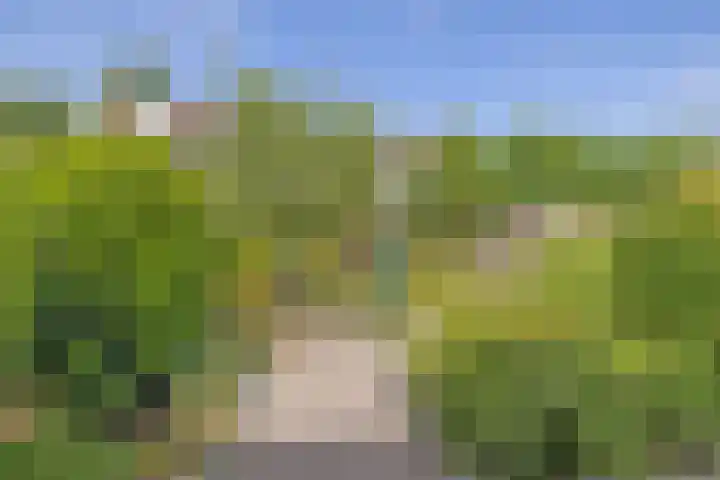 Bernard van Beeklaan 6 Kortenhoef thumbnail 26