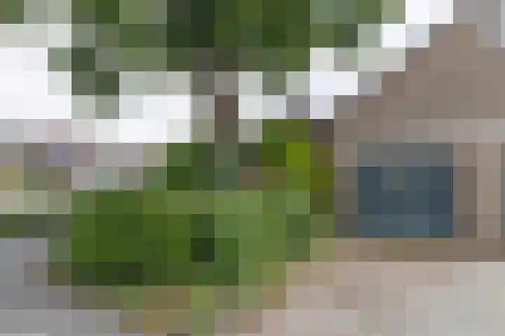 Bernard van Beeklaan 6 Kortenhoef thumbnail 30