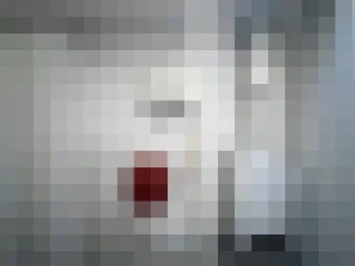 Bernard van Beeklaan 99 Kortenhoef thumbnail 40
