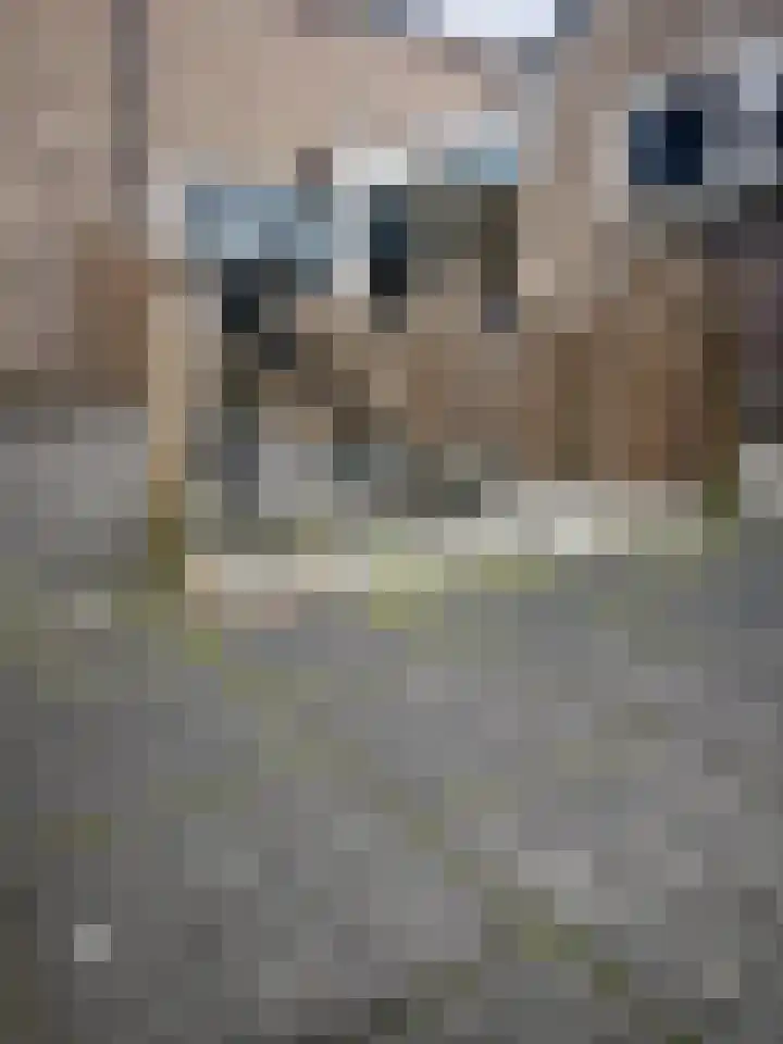 Bernard van Beeklaan 99 Kortenhoef thumbnail 8