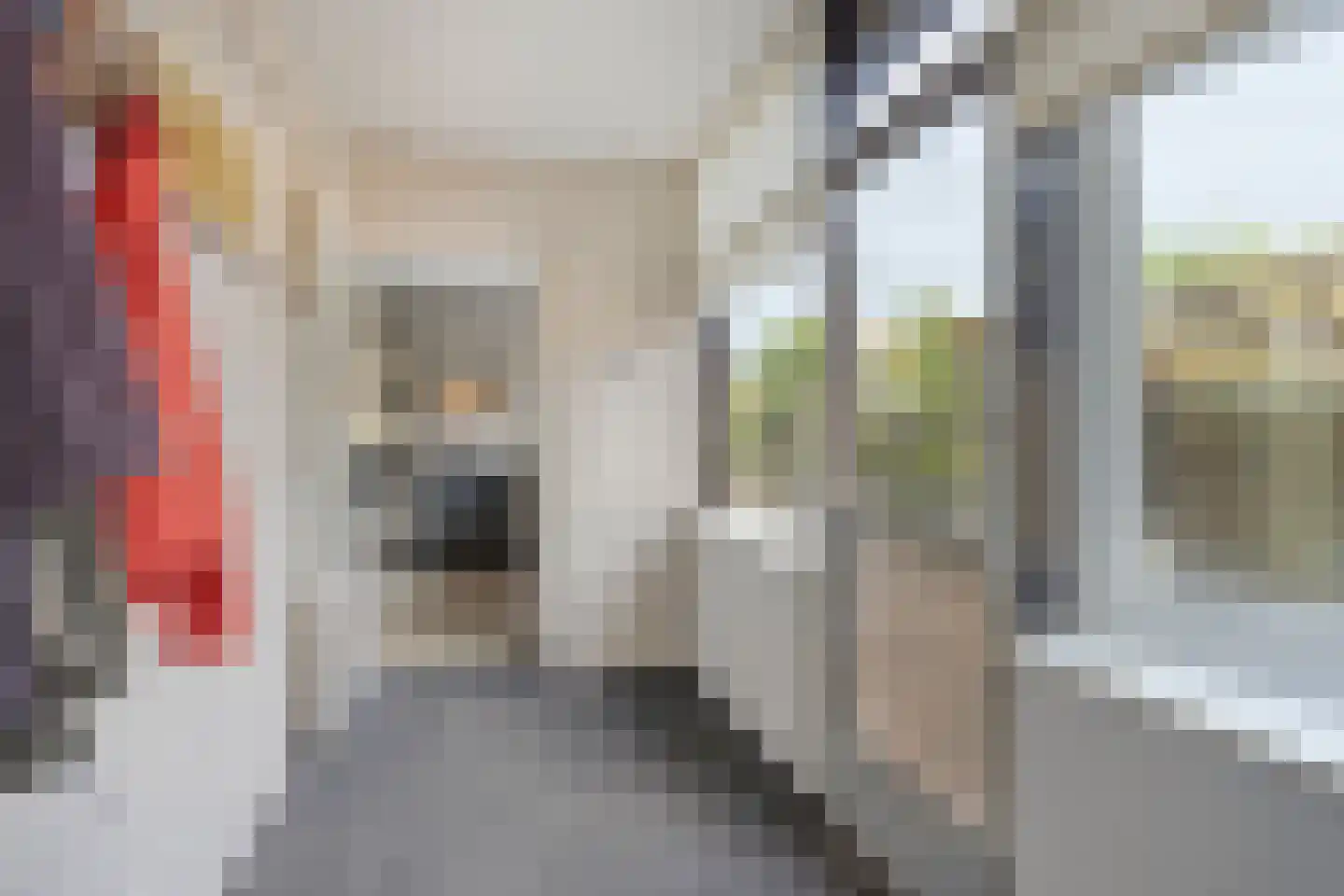 Bernard van Galenstraat 6 Groenlo thumbnail 21