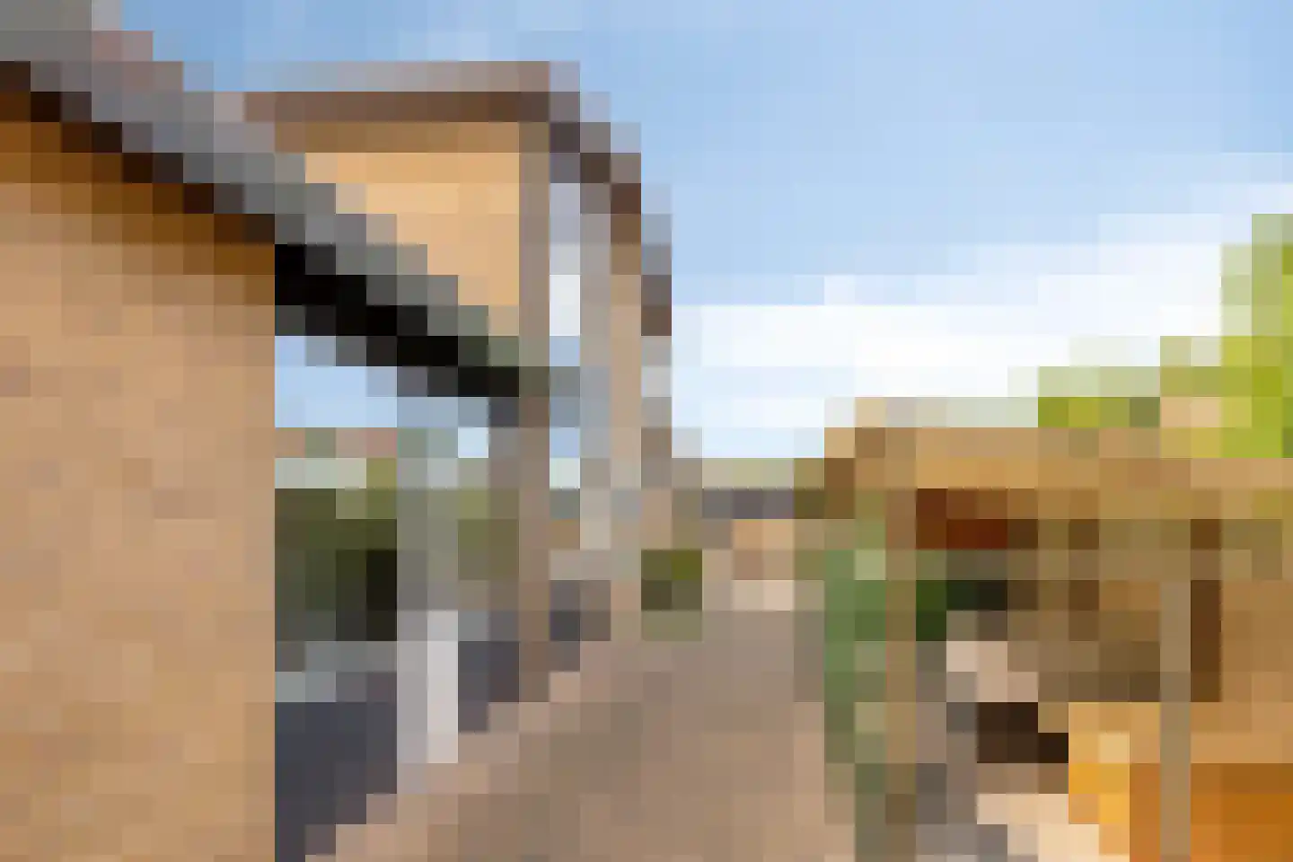 Bernard van Galenstraat 6 Groenlo thumbnail 47