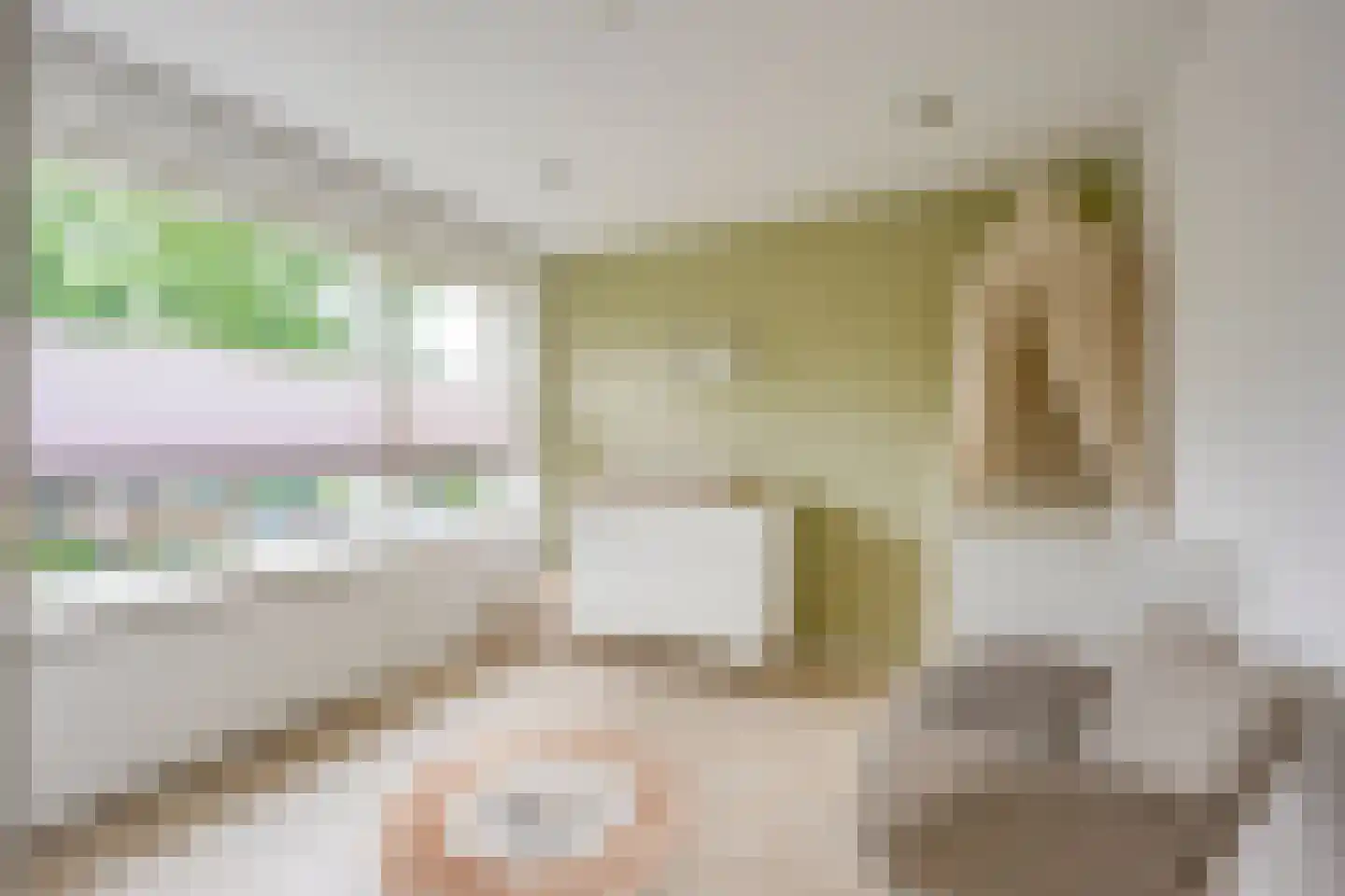 Bernard van Hamstraat 14 Vleuten thumbnail 23