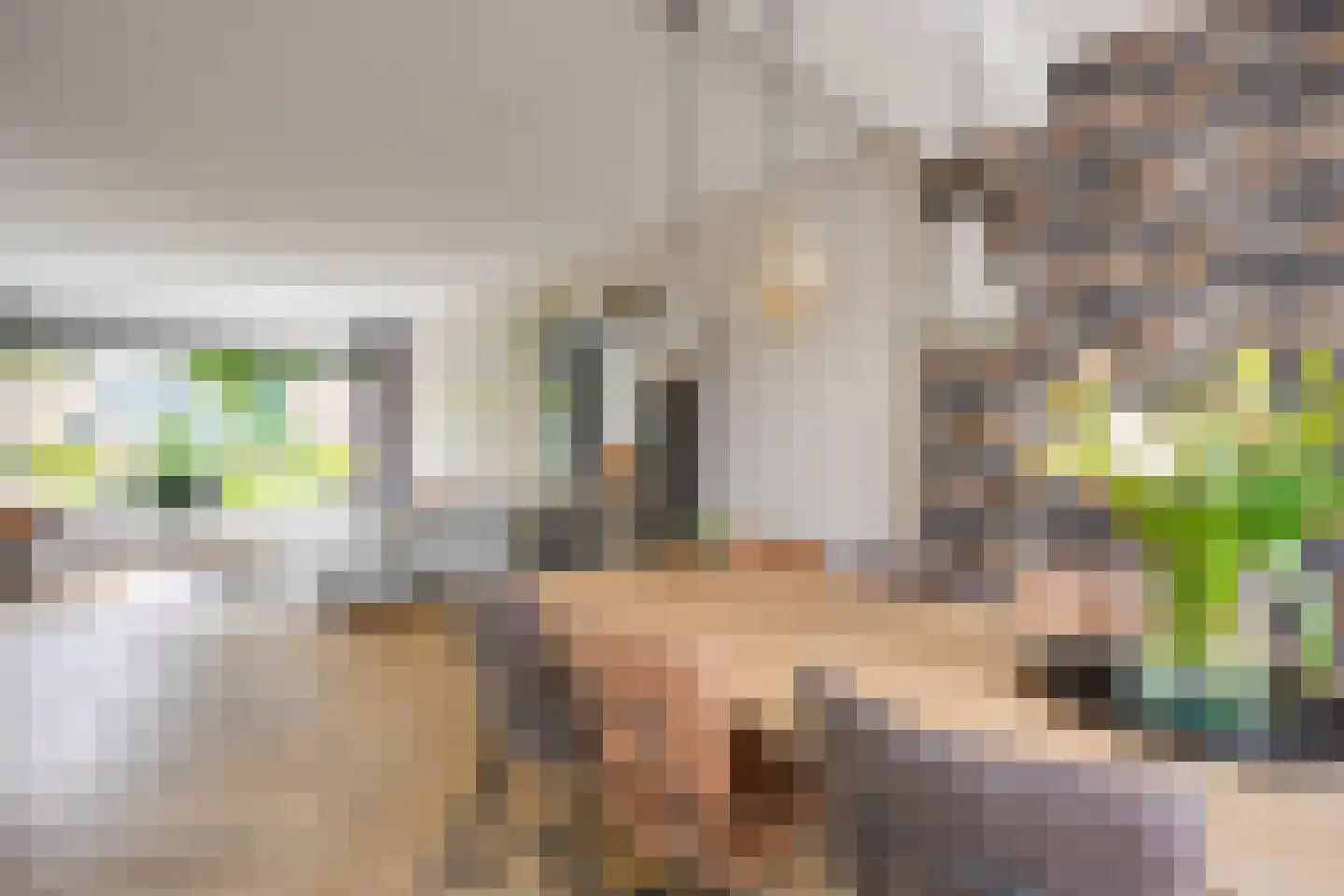Bernard van Hamstraat 14 Vleuten thumbnail 8