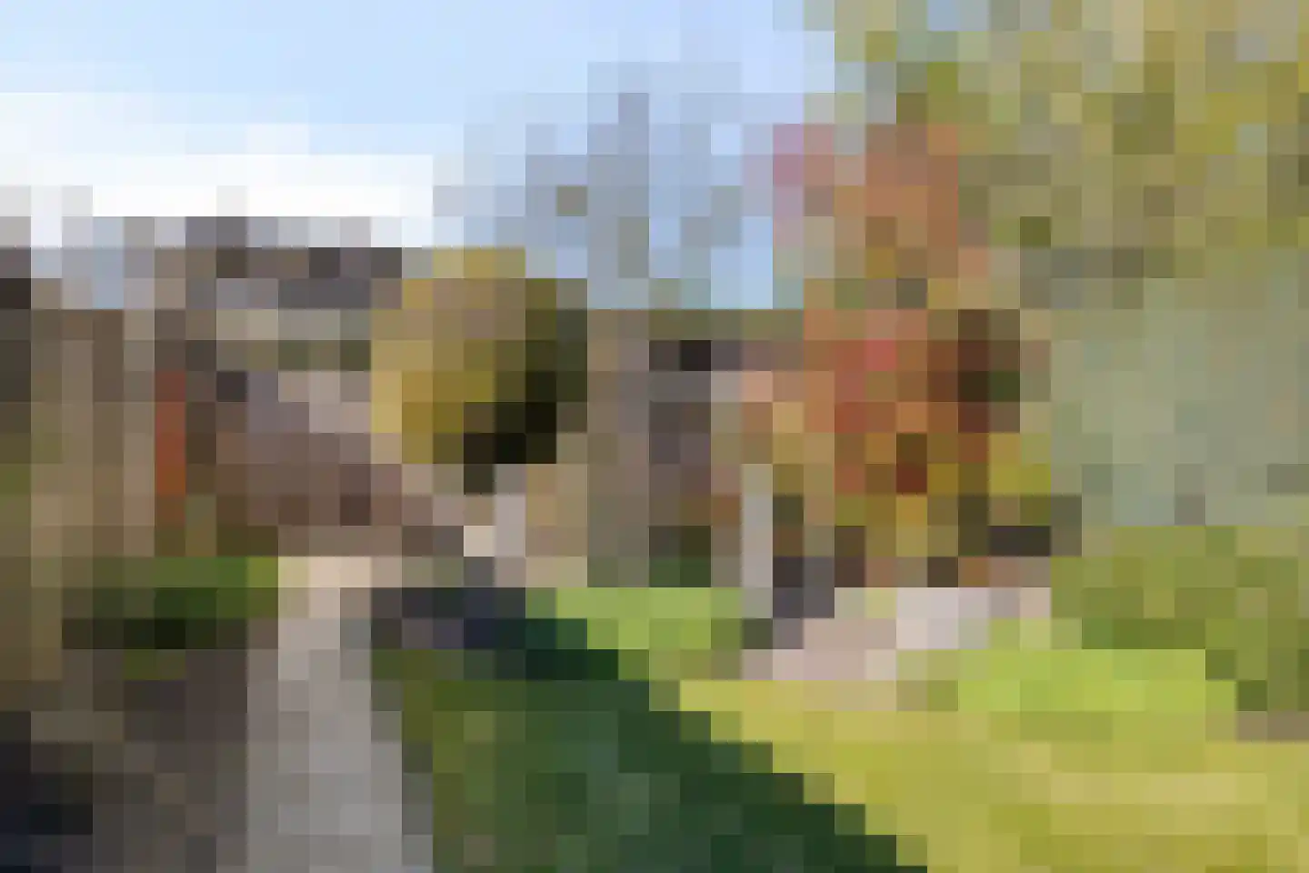 Bernard Vrienslaan 16 Oisterwijk thumbnail 19