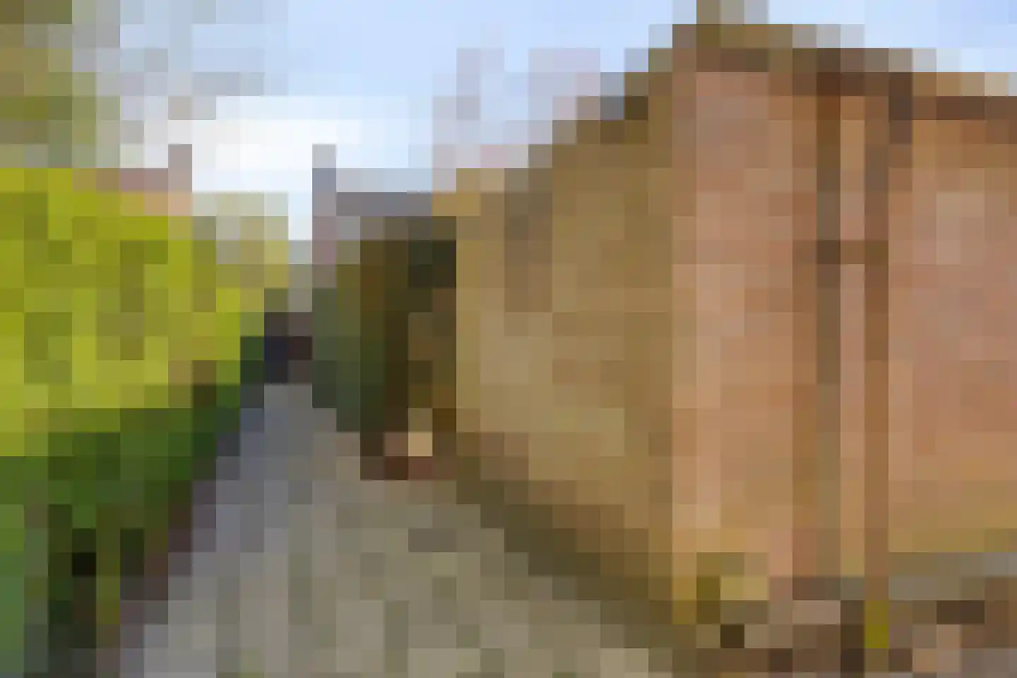 Bernard Vrienslaan 16 Oisterwijk thumbnail 22