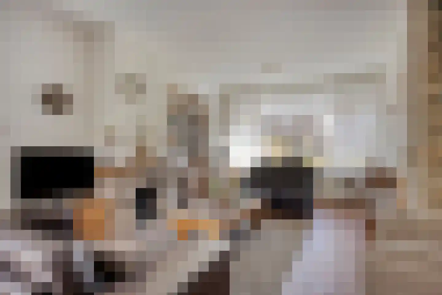 Bernard Vrienslaan 16 Oisterwijk thumbnail 4