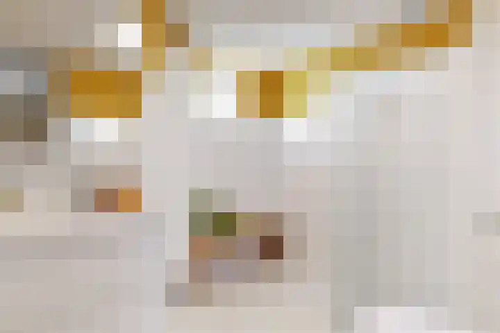 Bernard Zweershof 13 Uithoorn thumbnail 14