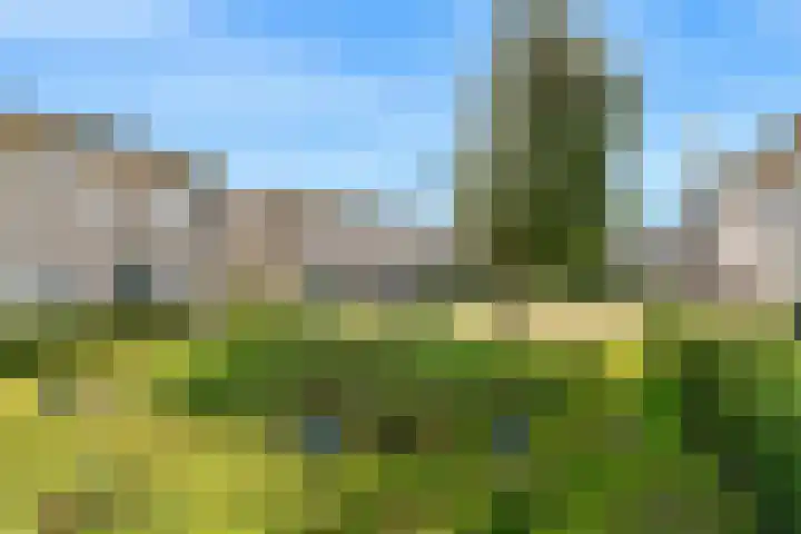 Bernard Zweershof 13 Uithoorn thumbnail 18