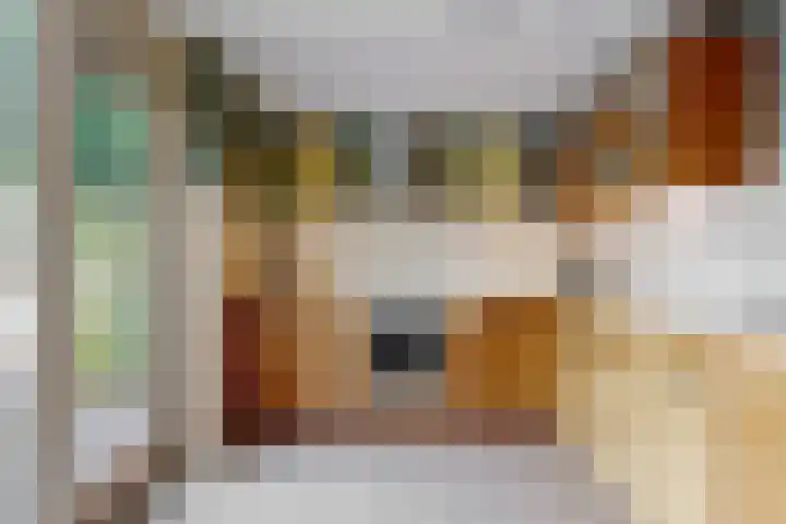 Bernard Zweershof 13 Uithoorn thumbnail 9