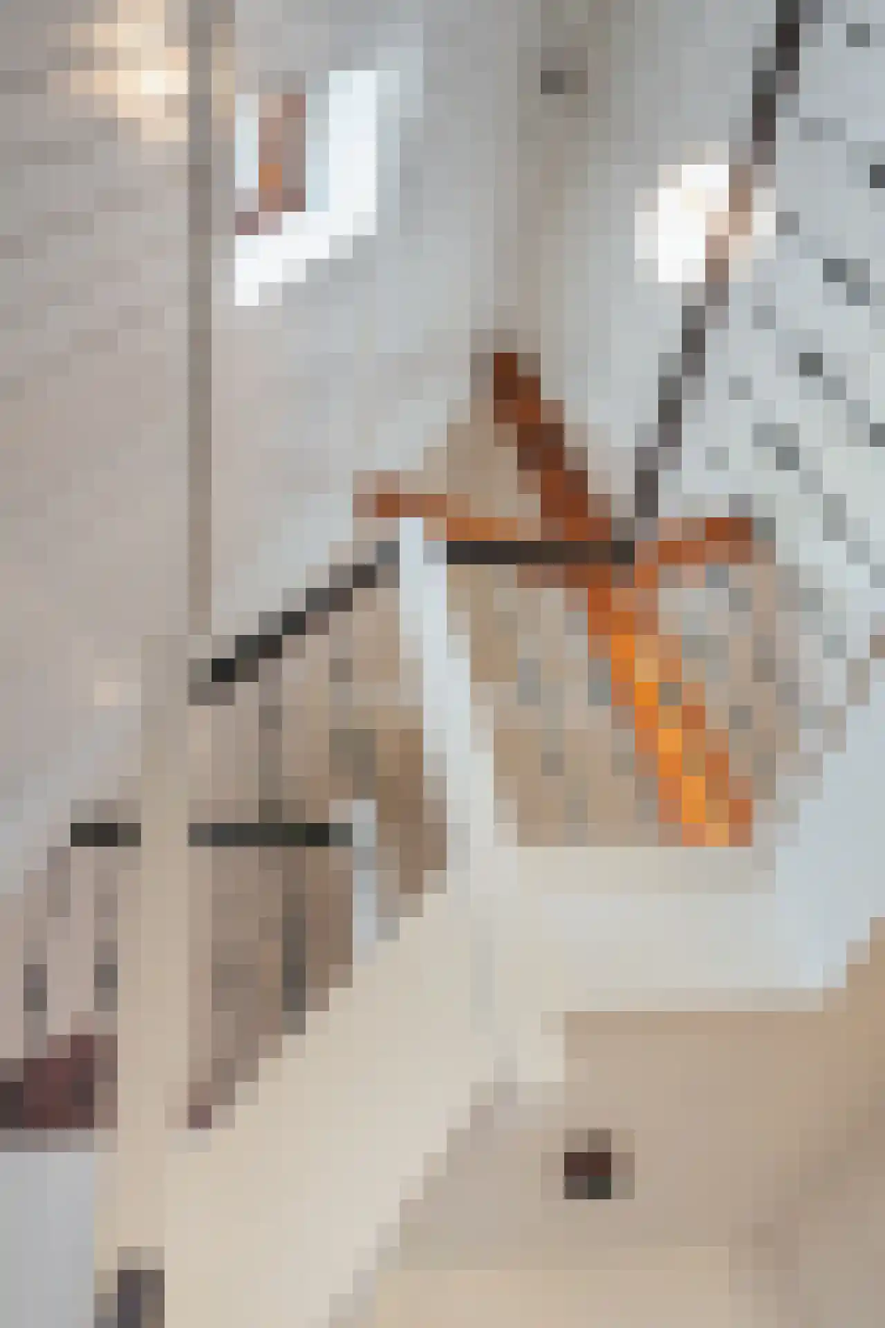 Bernard Zweerskade 12 Amsterdam thumbnail 12