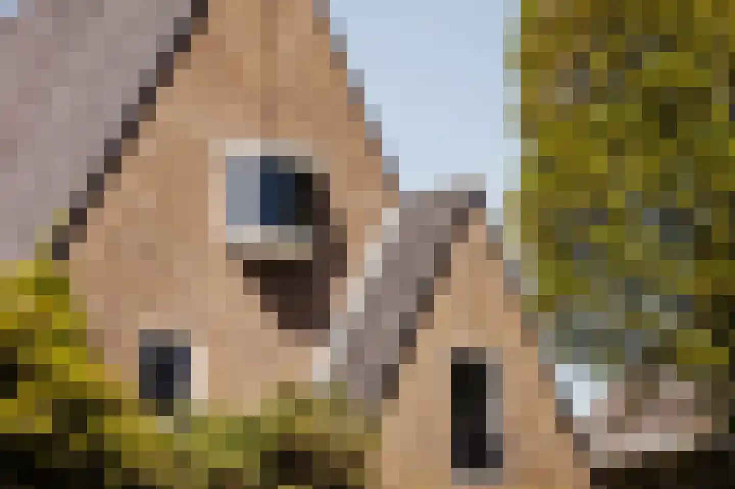 Bernard Zweerskade 12 Amsterdam thumbnail 16