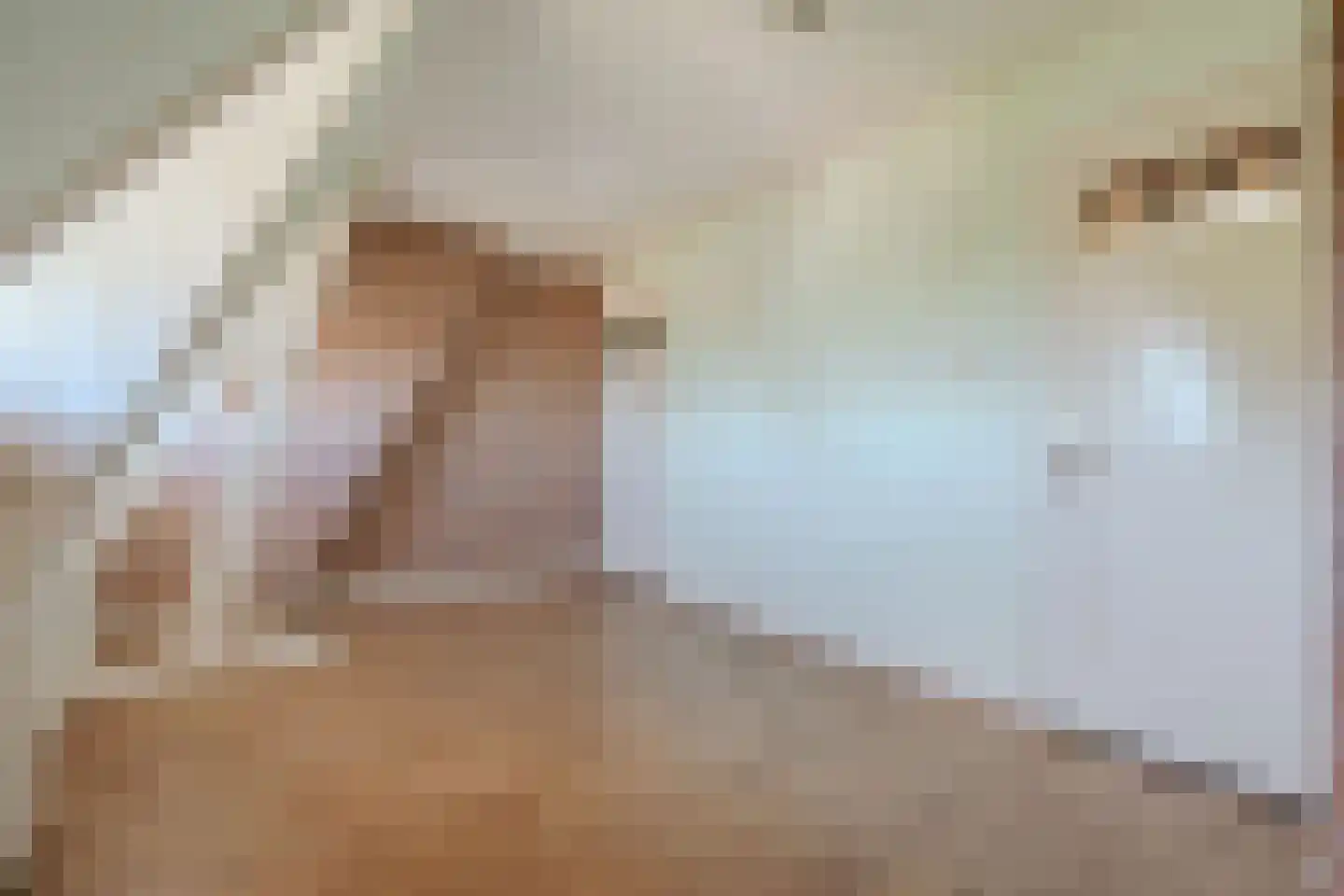 Bernard Zweerskade 19 4 Amsterdam thumbnail 22