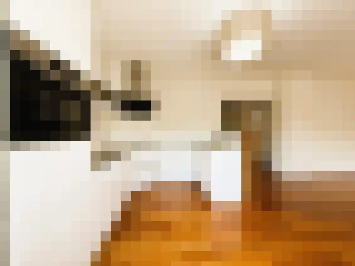 Bernard Zweerskade 19 Amsterdam thumbnail 6
