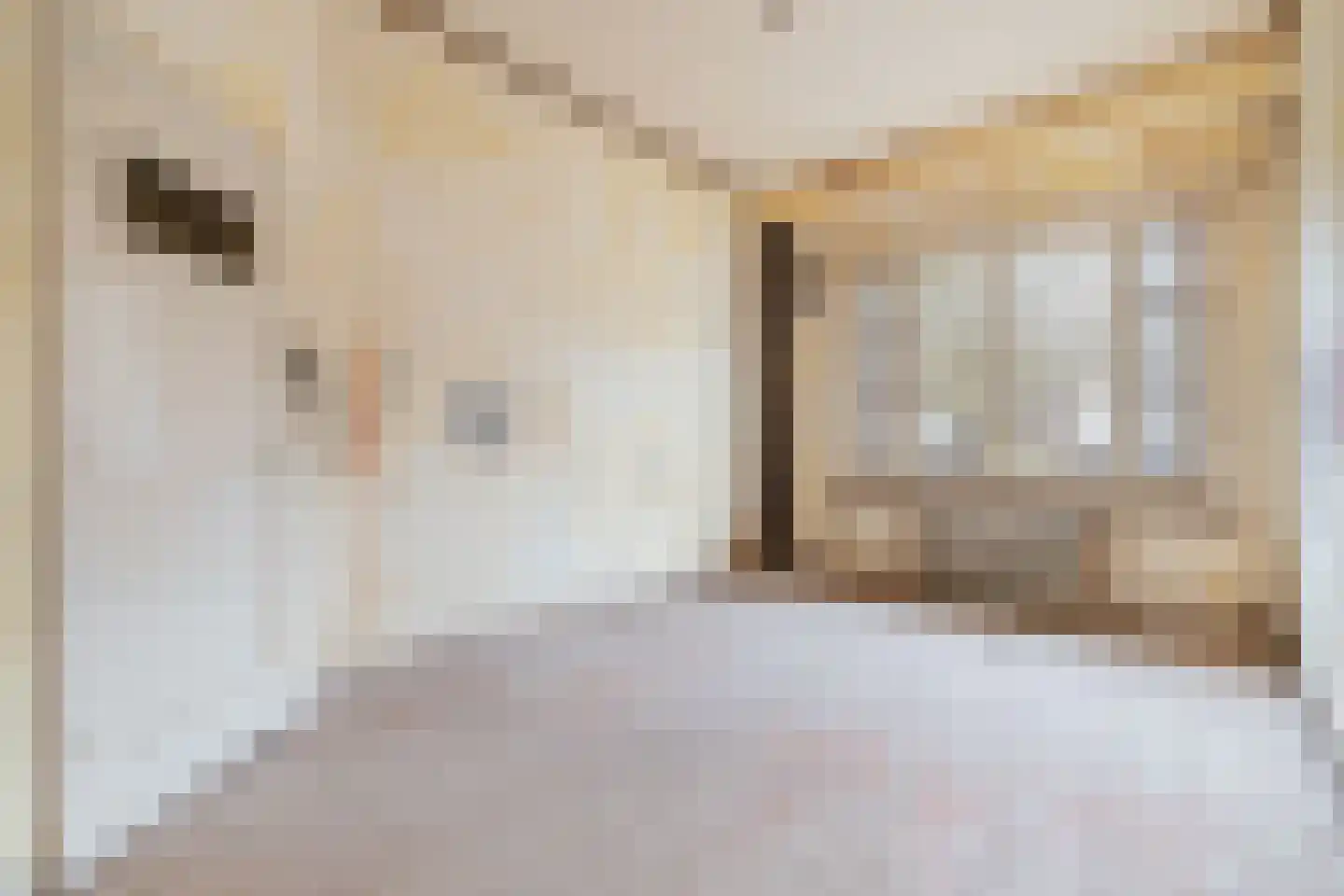 Bernard Zweerskade 22 Amsterdam thumbnail 19