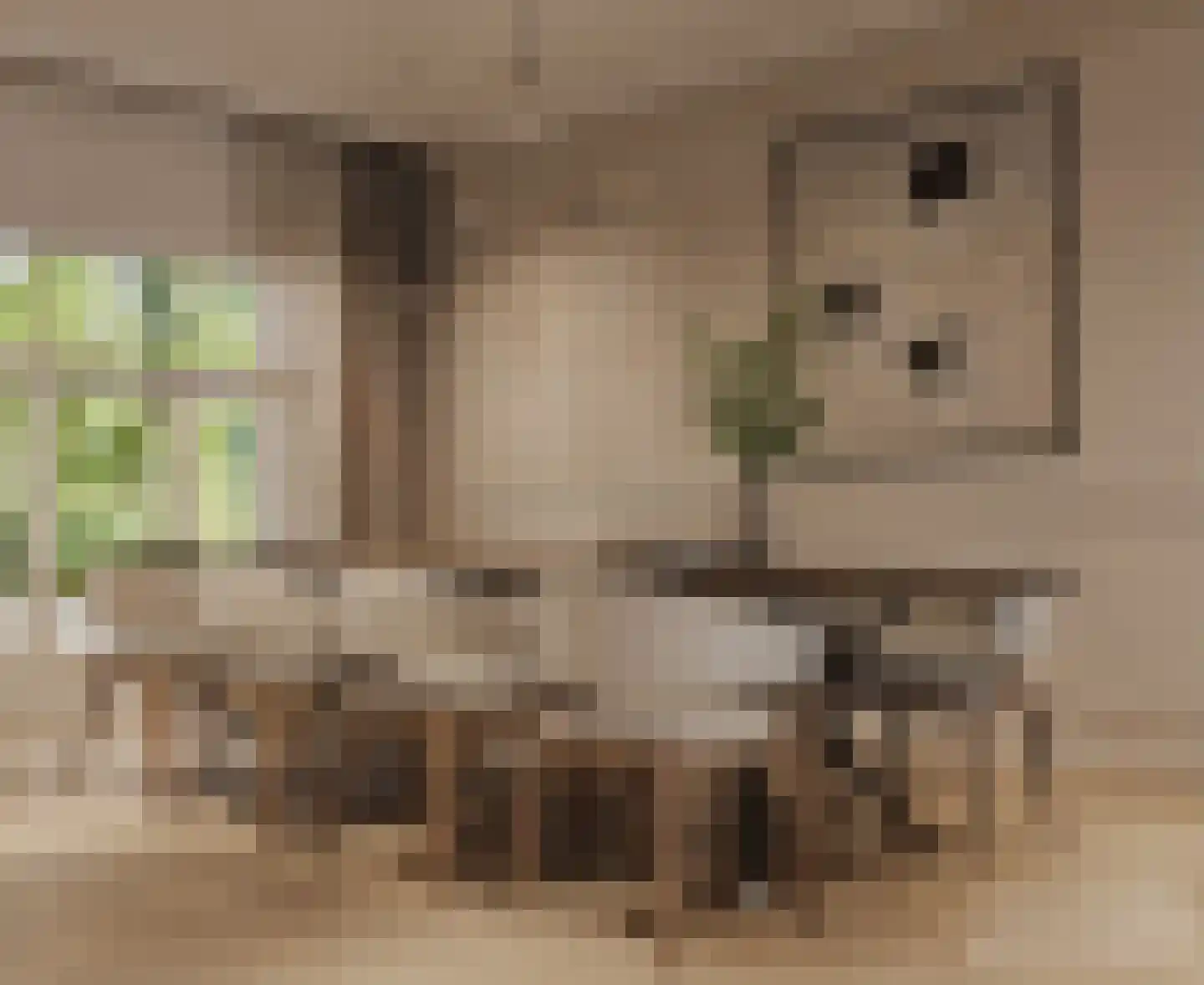 Bernard Zweerskade 22 Amsterdam thumbnail 7