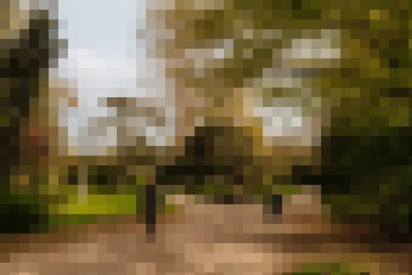 Bernard Zweerskade 24 3 Amsterdam thumbnail 29