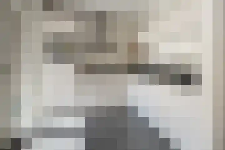 Bernard Zweerslaan 11 Baarn thumbnail 10