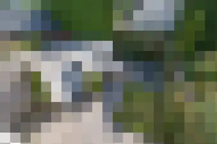 Bernard Zweerslaan 11 Baarn thumbnail 20