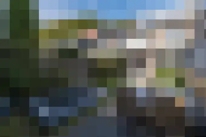 Bernard Zweerslaan 11 Baarn thumbnail 31