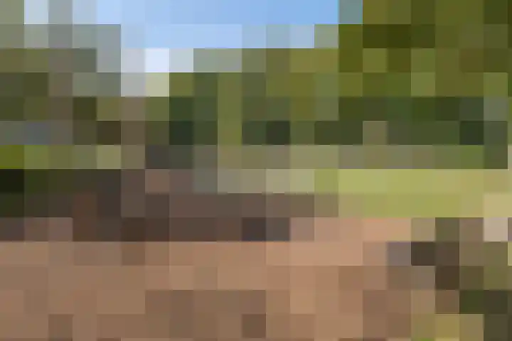 Bernard Zweerslaan 11 Baarn thumbnail 34