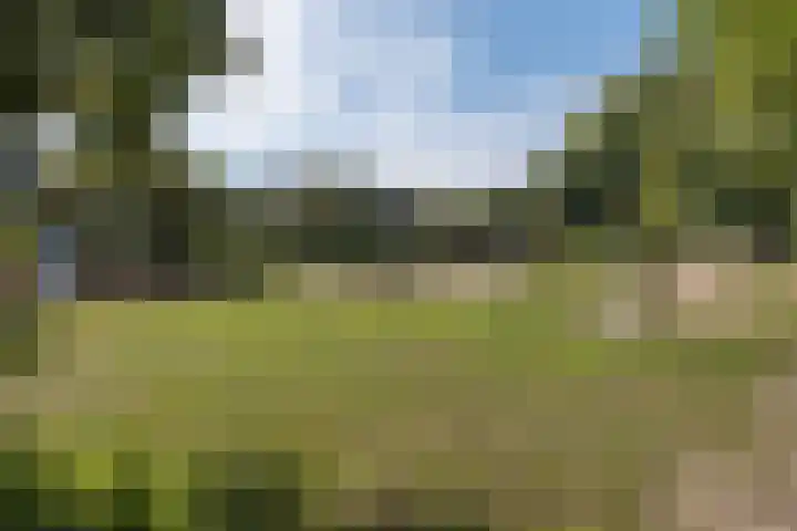 Bernard Zweerslaan 11 Baarn thumbnail 35