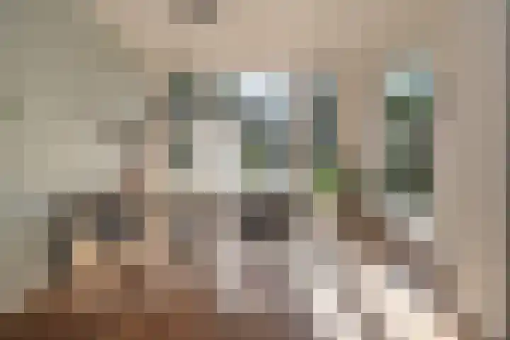 Bernard Zweerslaan 11 Baarn thumbnail 9