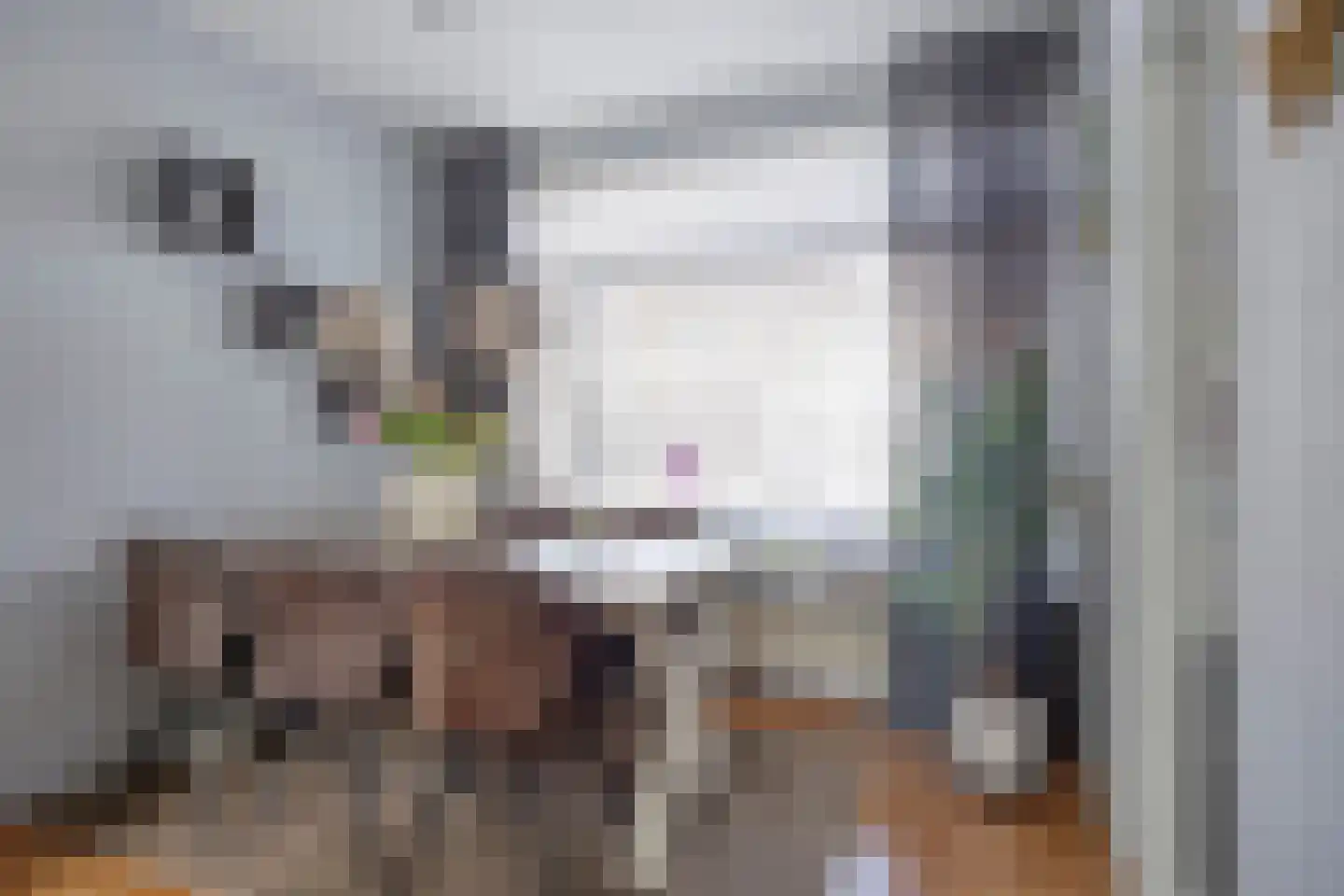 Bernard Zweerslaan 20 Terneuzen thumbnail 9