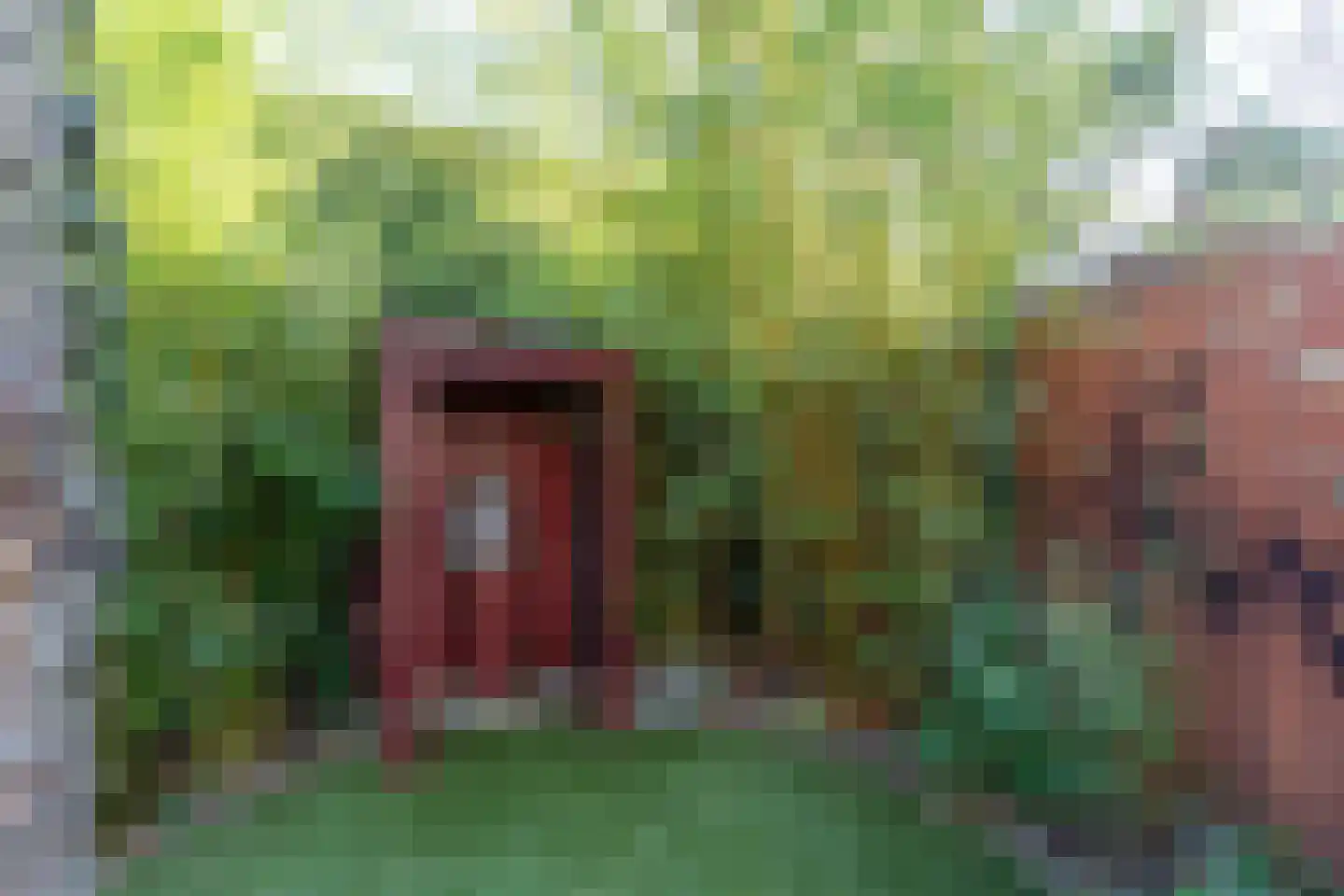 Bernard Zweerslaan 3 Baarn thumbnail 22