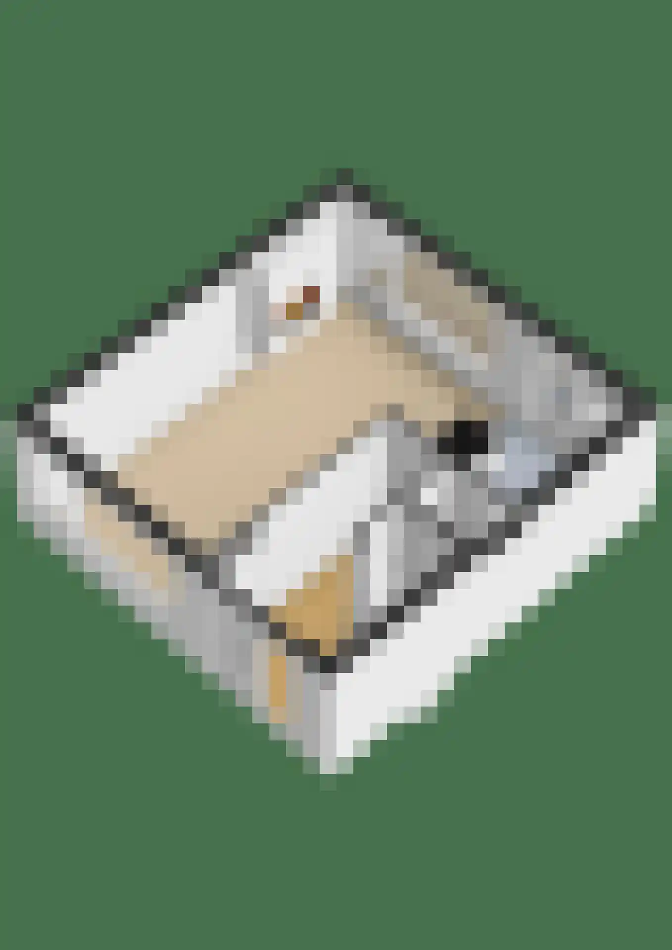 Bernard Zweerslaan 3 Baarn thumbnail 32