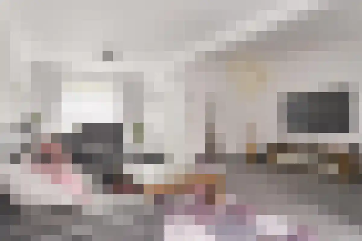 Bernard Zweerslaan 32 Eindhoven thumbnail 4