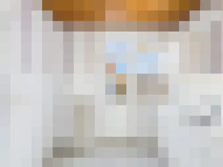 Bernard Zweerslaan 32 Terneuzen thumbnail 8