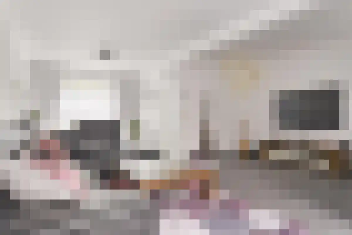 Bernard Zweerslaan 34 Eindhoven thumbnail 5