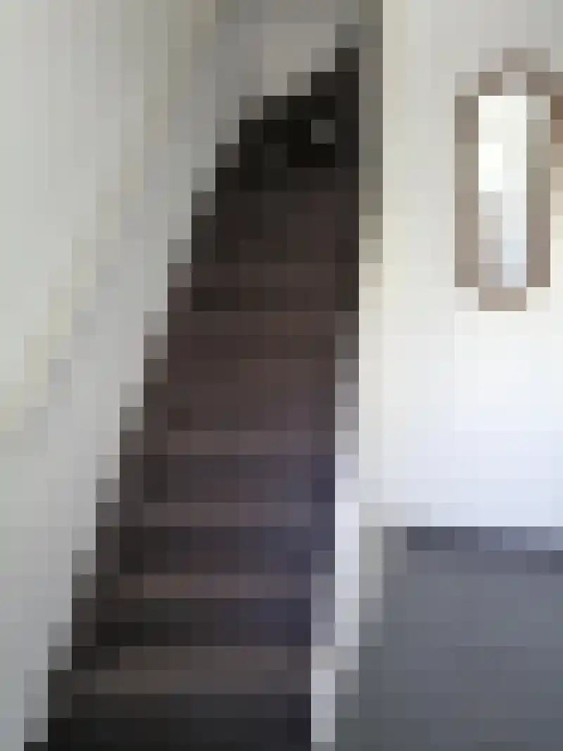 Bernard Zweerslaan 34 Eindhoven thumbnail 9
