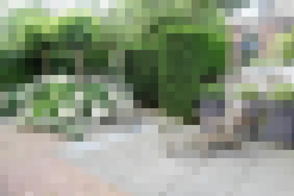 Bernard Zweerslaan Heemstede thumbnail 6