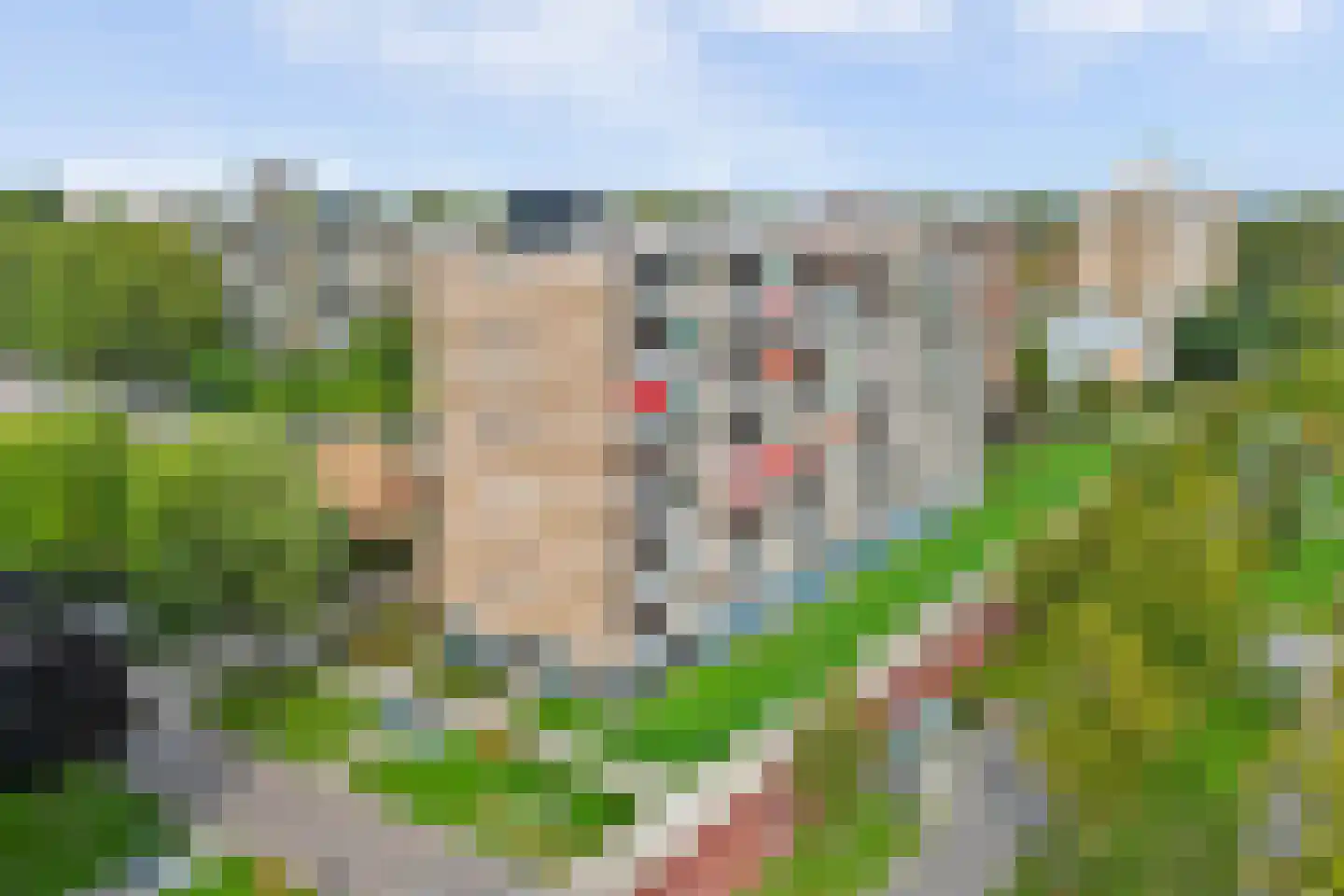 Bernard Zweersplein 34 Schiedam thumbnail 25
