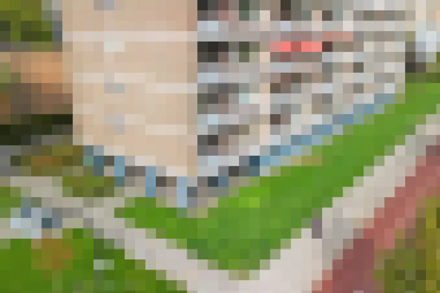 Bernard Zweersplein 34 Schiedam thumbnail 29