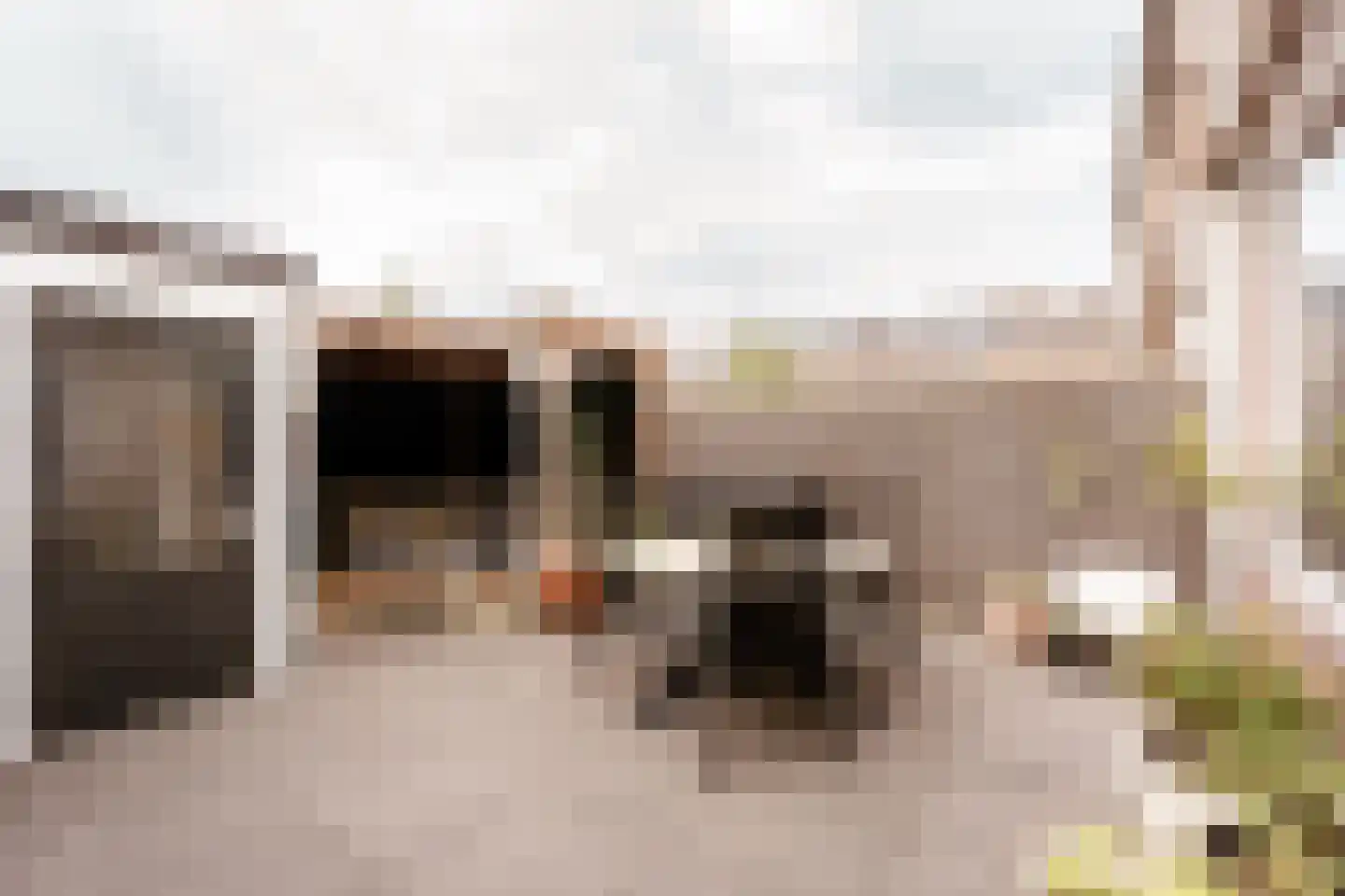 Bernard Zweersstraat 3 Nootdorp thumbnail 15