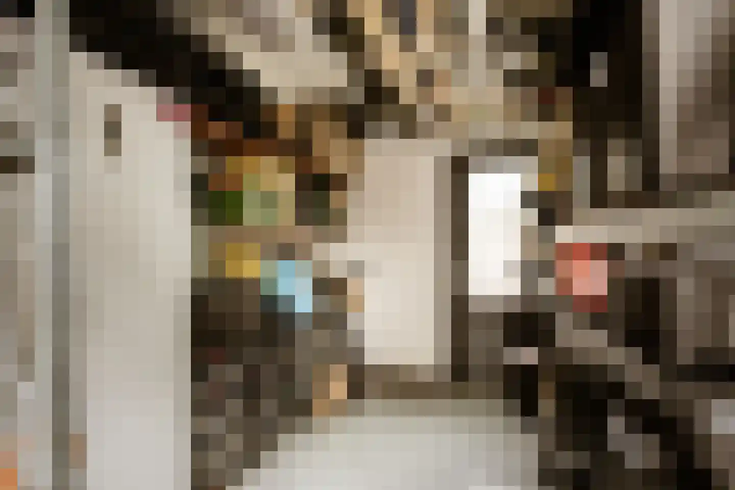 Bernard Zweersstraat 3 Nootdorp thumbnail 19