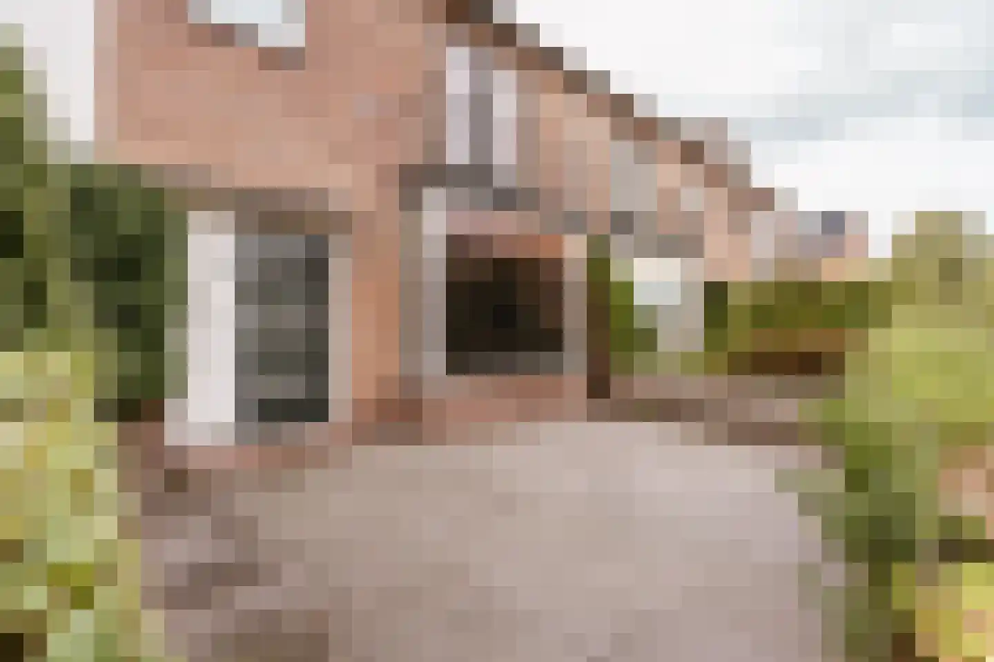 Bernard Zweersstraat 3 Nootdorp thumbnail 37
