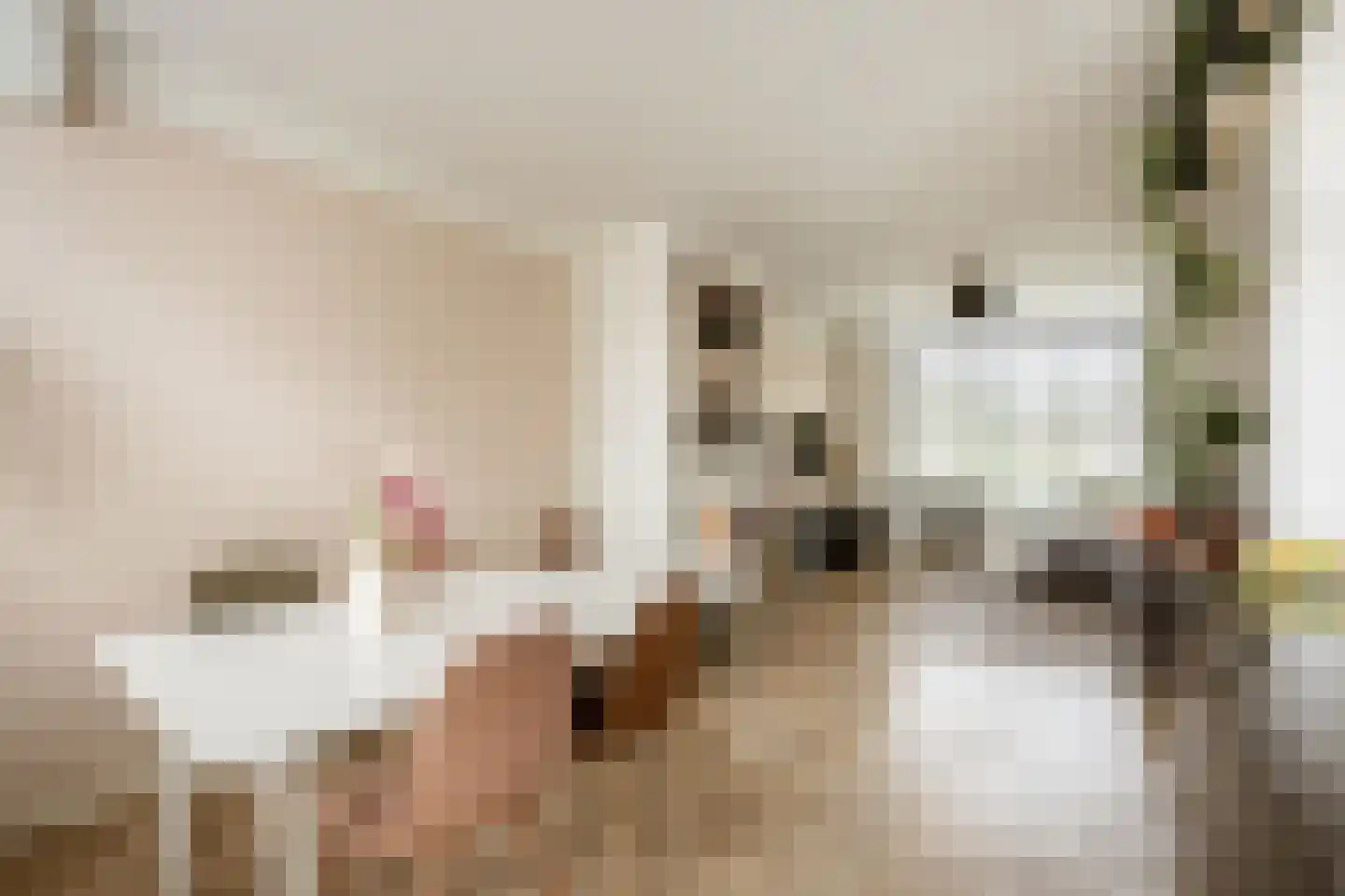 Bernard Zweersstraat 3 Nootdorp thumbnail 8