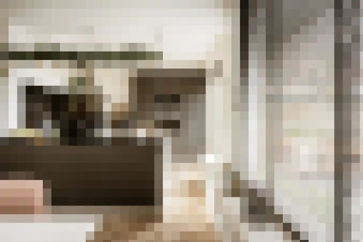 Bernard Zweersstraat 3 Nootdorp thumbnail 9