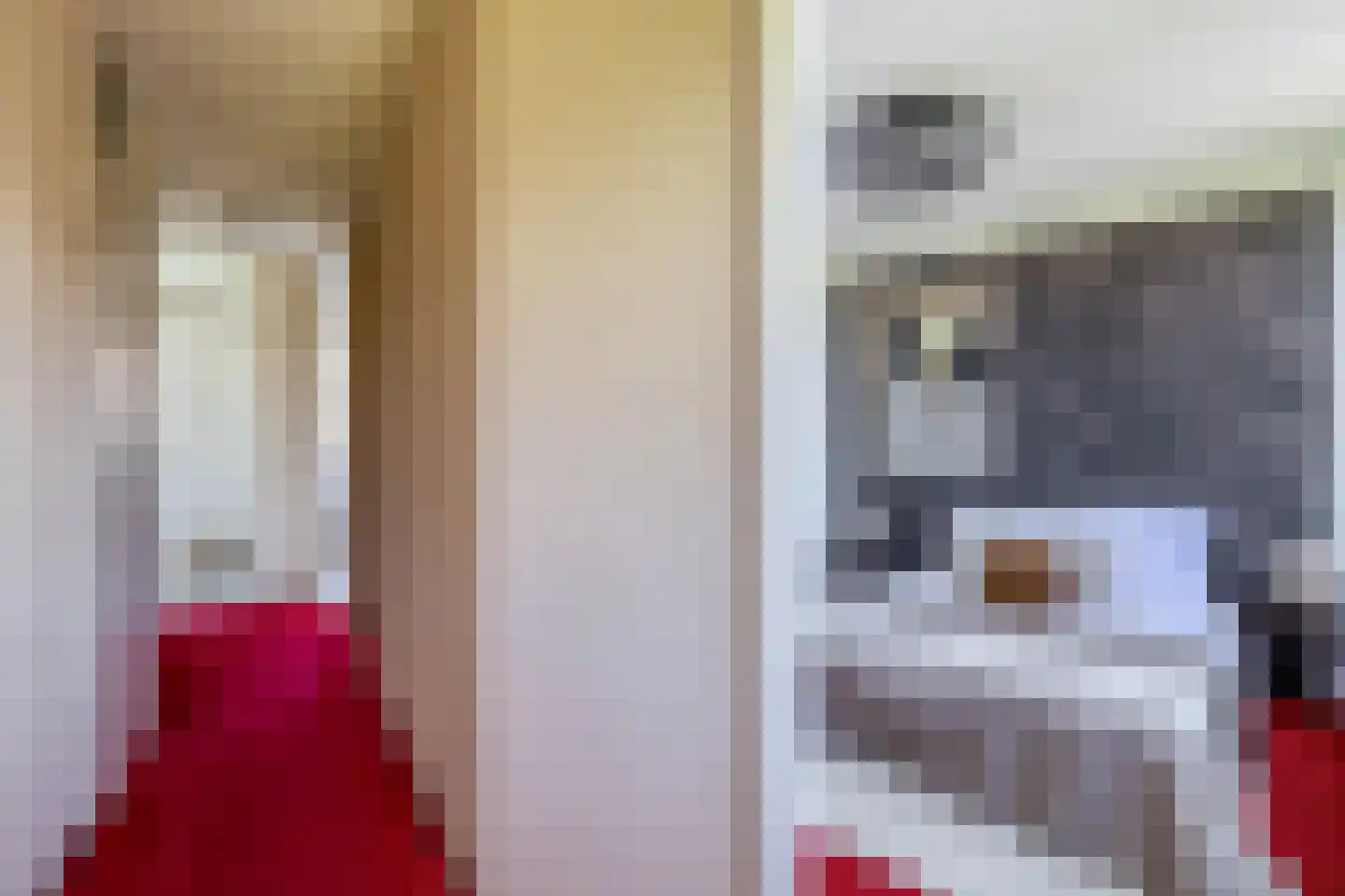 Bernard Zweersstraat 36 Zaandijk thumbnail 15