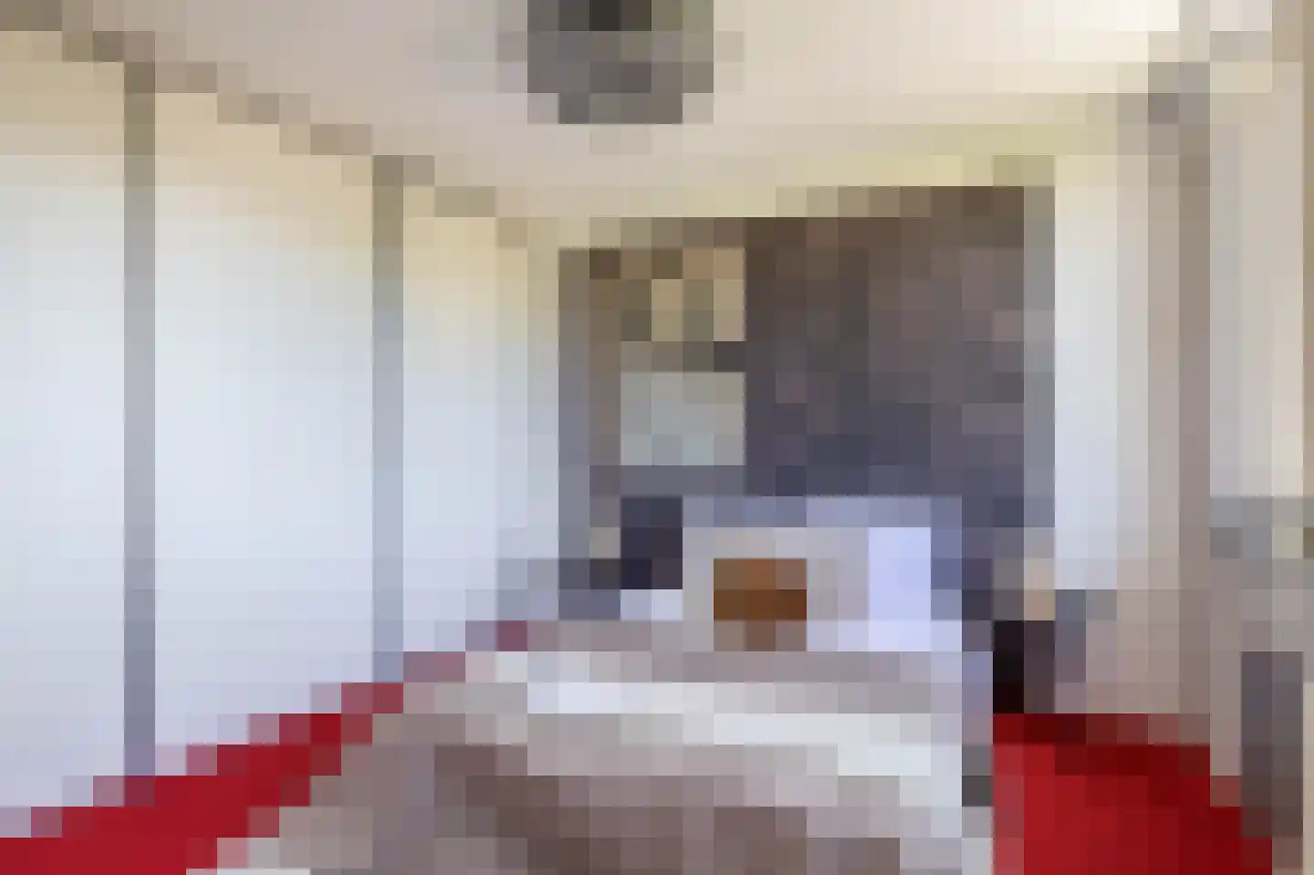 Bernard Zweersstraat 36 Zaandijk thumbnail 18